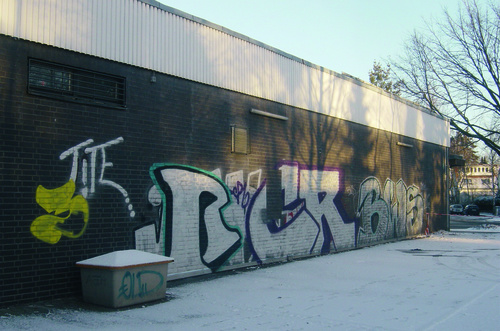 sauer Radikal-Graffiti-Lackentferner 7 Finalit Nr